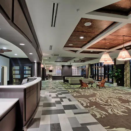 Edge Hotel Clearwater Beach-2